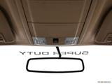  Courtesy lamps/ceiling controls photo